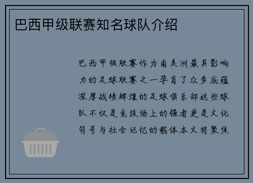 巴西甲级联赛知名球队介绍